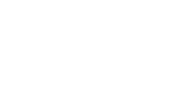 BAWDY Plus