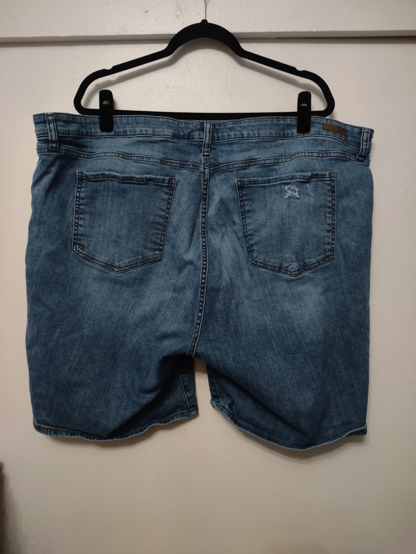 Distressed Jean Short 24W