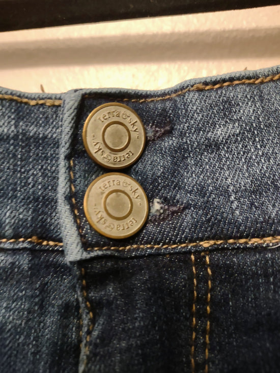 Distressed Jean Shorts 26W