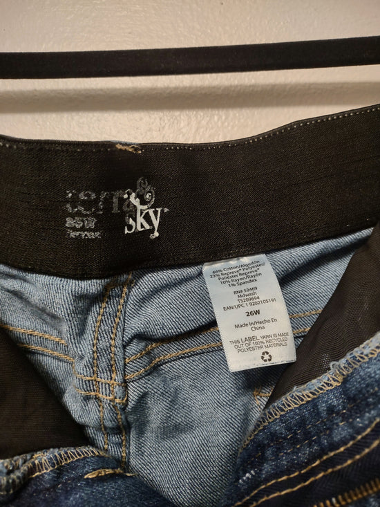 Distressed Jean Shorts 26W