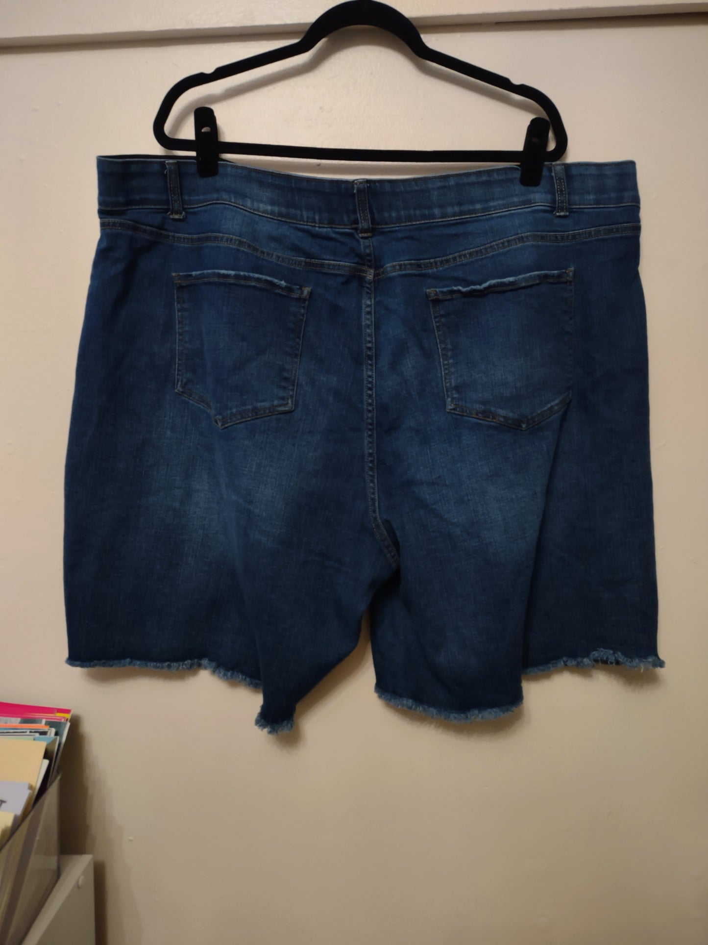 Distressed Jean Shorts 26W