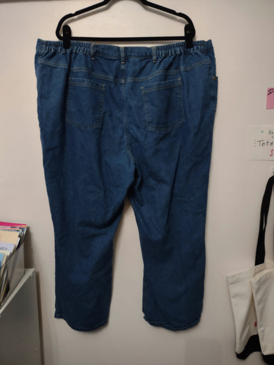 Stretchy Waist Jeans Size 28W Petite